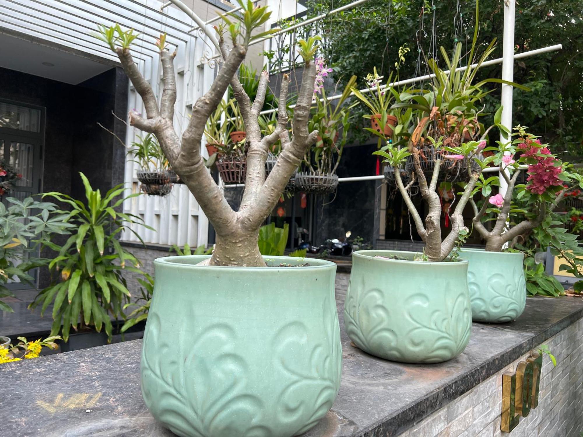 Home Resort With Full Amenities Ho Chi Minh-staden Exteriör bild